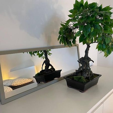 Magnifique Appartement A La Frontiere Suisse Saint-Louis  Exterior foto