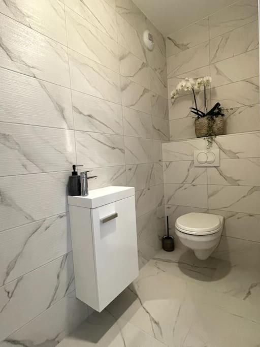 Magnifique Appartement A La Frontiere Suisse Saint-Louis  Exterior foto